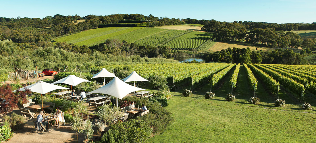 Montalto cellar door, piazza and garden